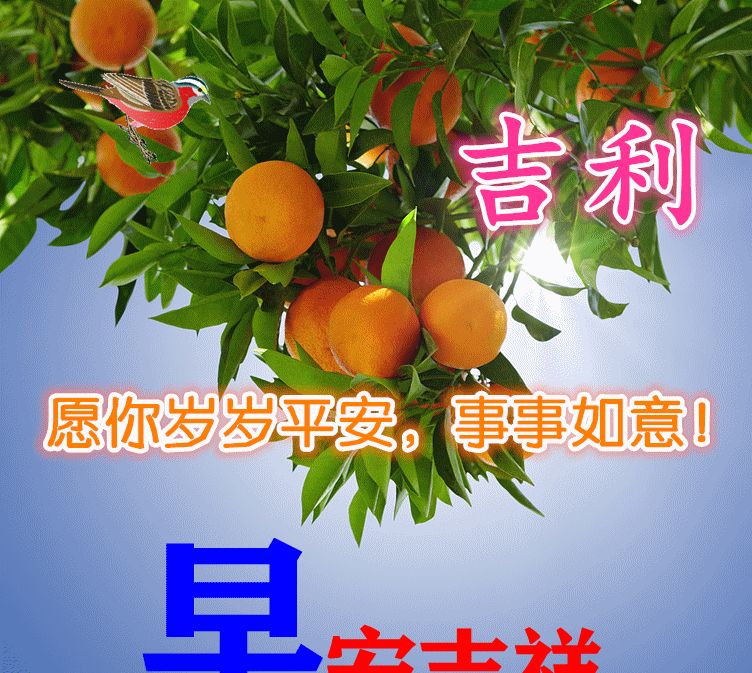 特別漂亮的早安祝福圖片帶字表情清晨早安祝福圖片