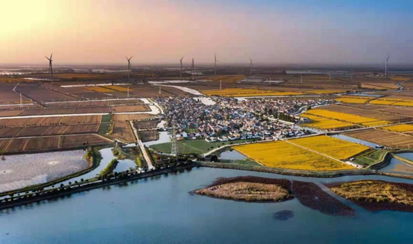 兴化沙沟传承红色基因赋能乡村振兴