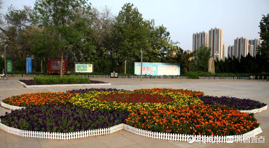 木香码头,德馨广场等地组摆草花4万余株,助力国家生态园林城市和全国