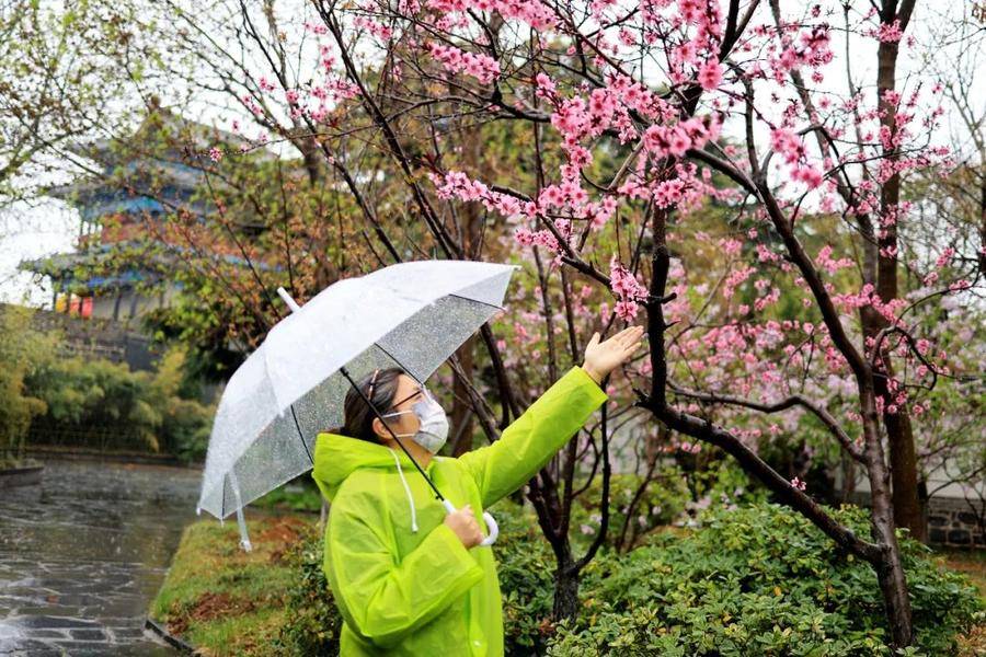 隐约间，蓬莱阁披上一层轻纱，带来泥土和花草的清香