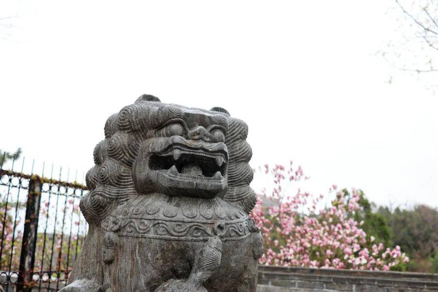 隐约间，蓬莱阁披上一层轻纱，带来泥土和花草的清香