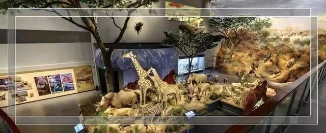 大漏特漏!收藏这份天花板级别的攻略,原来省博可以这样玩!休闲区蓝鸢梦想 - Www.slyday.coM 大漏特漏!收藏这份天花板级别的攻略,原来省博可以这样玩!休闲区蓝鸢梦想 - Www.slyday.coM