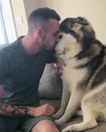 二哈向主人撒娇求抱抱，没曾想主人直接给了大福利休闲区蓝鸢梦想 - Www.slyday.coM