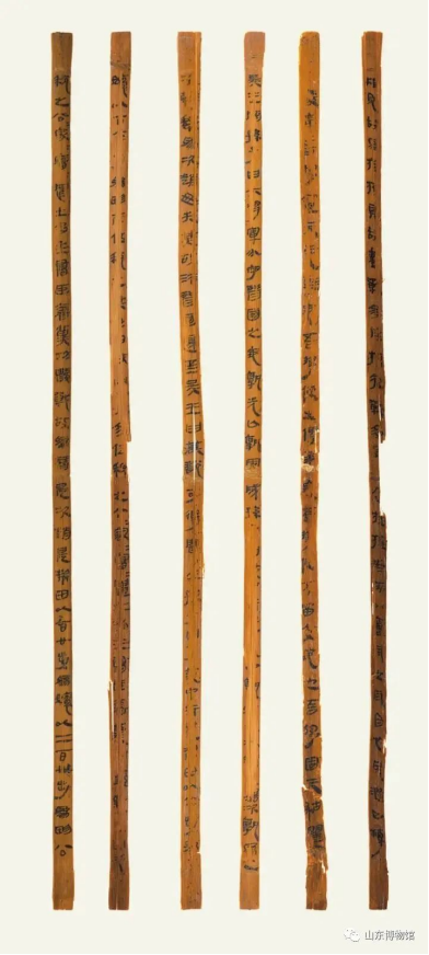 大漏特漏!收藏这份天花板级别的攻略,原来省博可以这样玩!休闲区蓝鸢梦想 - Www.slyday.coM 大漏特漏!收藏这份天花板级别的攻略,原来省博可以这样玩!休闲区蓝鸢梦想 - Www.slyday.coM