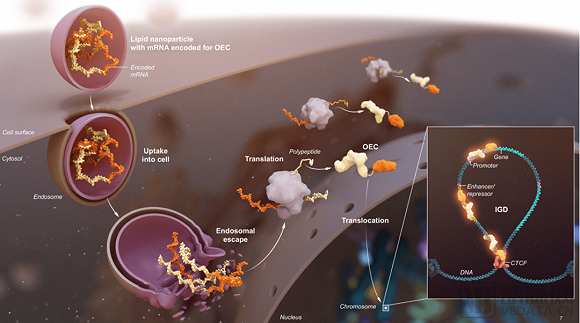 引诱老年人加盟 北方基因小分子肽涉虚假宣传与