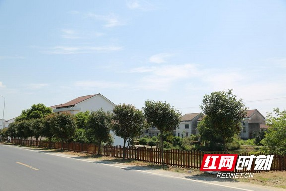 益阳沙头镇乡村开新局振兴谋全篇