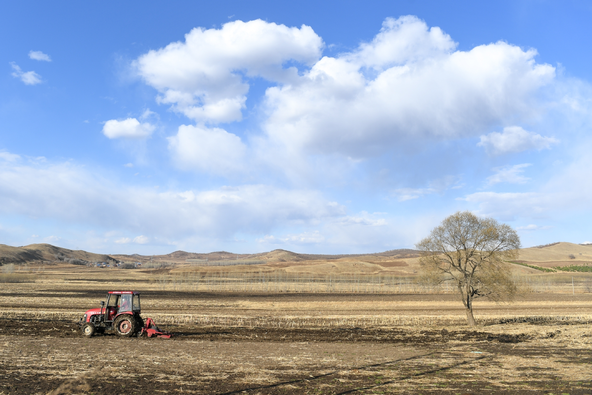 内蒙古扎兰屯田间地头农事忙