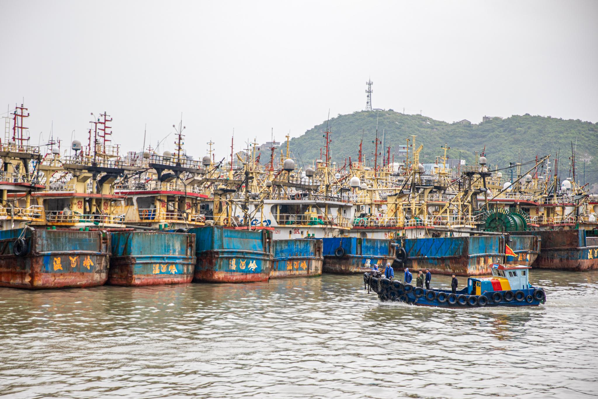 浙江温岭渔船进港准备休渔