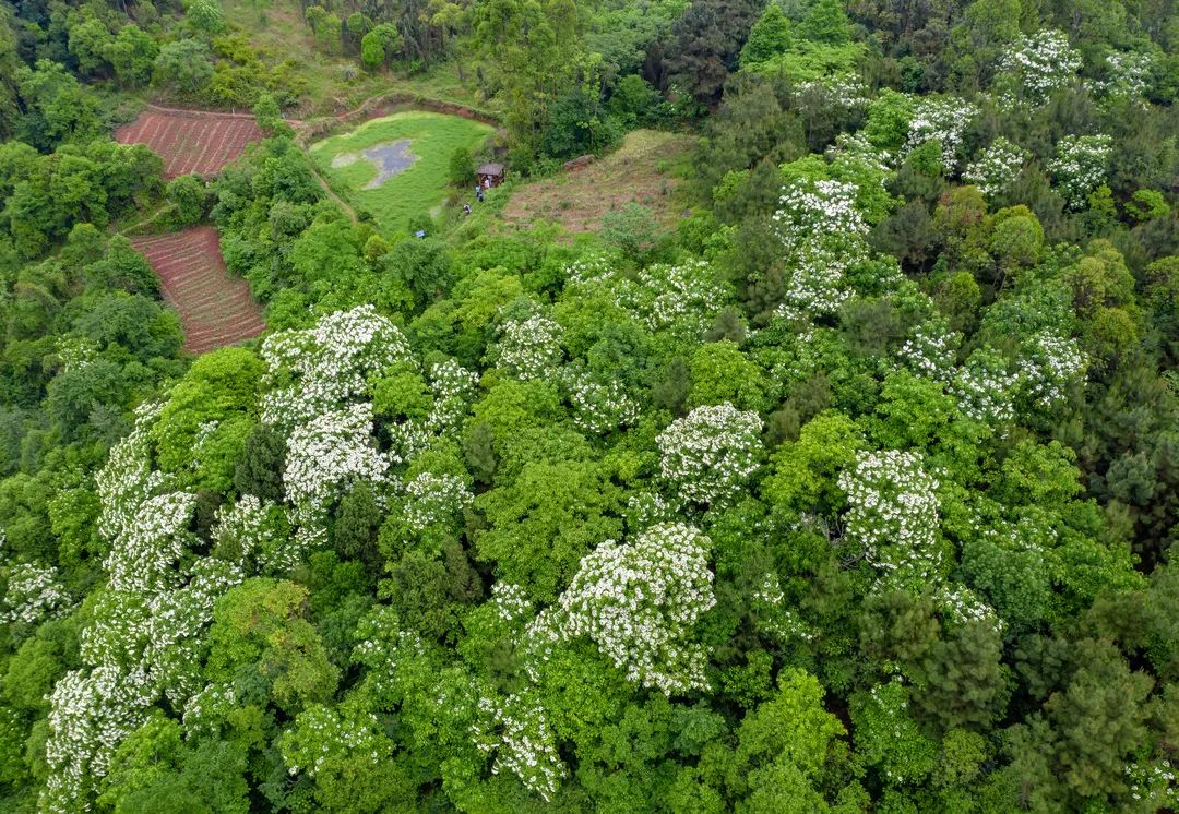 仁寿的边边上，有那么一个美得不像话的乡村……休闲区蓝鸢梦想 - Www.slyday.coM