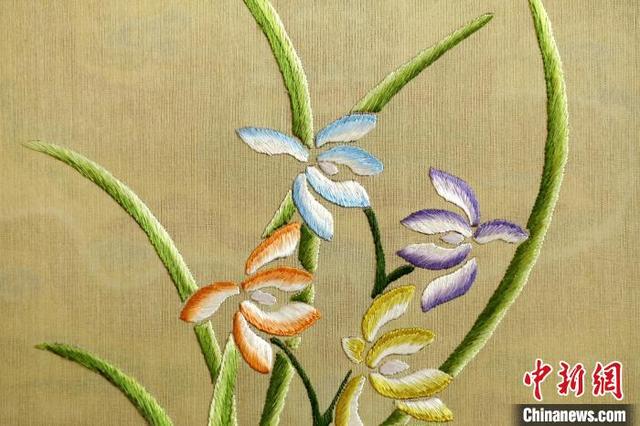 郭庆生创作的《蝴蝶兰草图》. 吕明会 摄