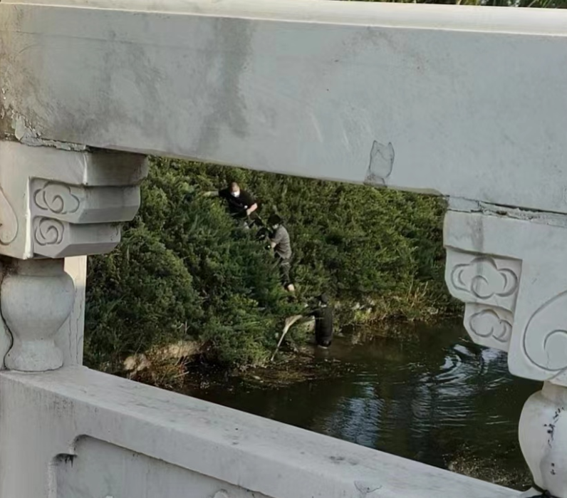 轻生女孩再次跳进水中，76岁退伍老兵两次将她救起！休闲区蓝鸢梦想 - Www.slyday.coM