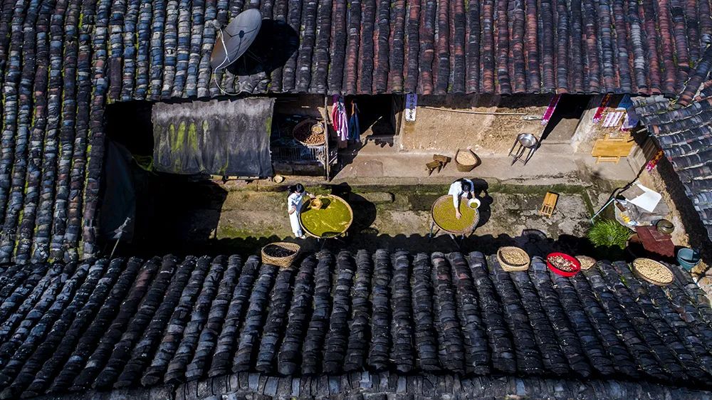 仁寿的边边上，有那么一个美得不像话的乡村……休闲区蓝鸢梦想 - Www.slyday.coM