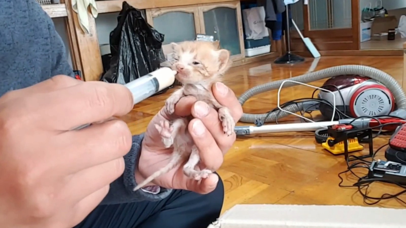 喂了一只流浪猫,它主动带好心人去看小猫,自己却消失不见休闲区蓝鸢梦想 - Www.slyday.coM 喂了一只流浪猫,它主动带好心人去看小猫,自己却消失不见休闲区蓝鸢梦想 - Www.slyday.coM