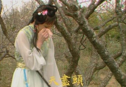 选宝琴而不选黛玉，贾母其实并不喜欢黛玉，她真心喜欢的是宝琴休闲区蓝鸢梦想 - Www.slyday.coM