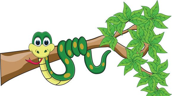 竹叶青蛇|竹叶青|毒液_新浪新闻