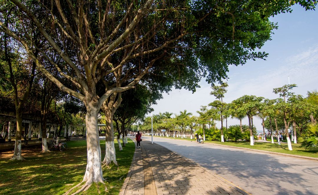 广州第一个滨海公园在南沙堪称小三亚景色迷人还免费