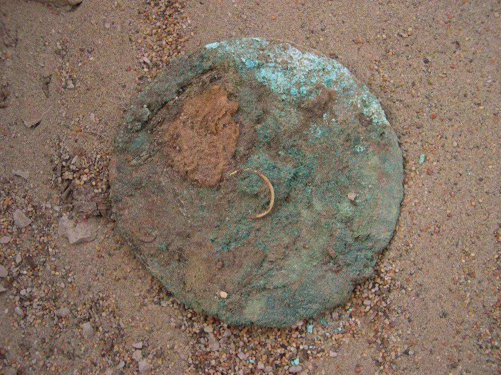 小河墓地出土谜样的文物经过研究发现它竟是牛心制作的