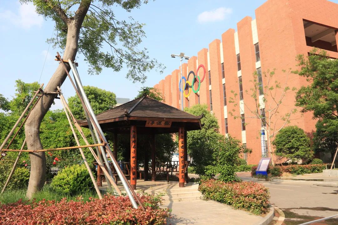 迟日玉泉丽春风花草香阜南县玉泉中学校园风景美如画