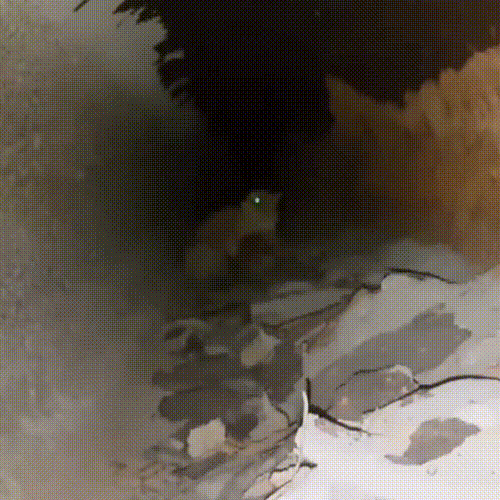 喂了一只流浪猫,它主动带好心人去看小猫,自己却消失不见休闲区蓝鸢梦想 - Www.slyday.coM 喂了一只流浪猫,它主动带好心人去看小猫,自己却消失不见休闲区蓝鸢梦想 - Www.slyday.coM