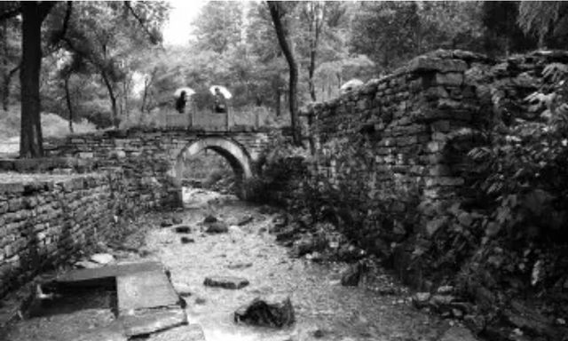 农妇称自己是陈毅妻子，被人质疑神经有问题，31年后中央证明身份休闲区蓝鸢梦想 - Www.slyday.coM