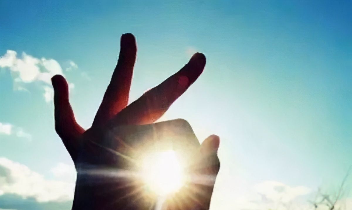 向阳而生,向光而行|正道|光芒|普天_新浪新闻