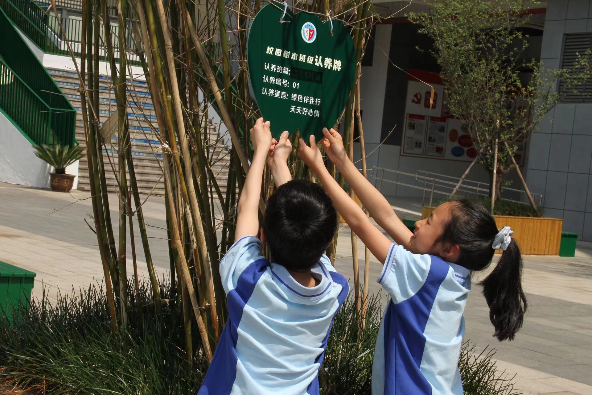 认养一棵树呵护一片绿九江双语实验学校开展校园树木认养活动