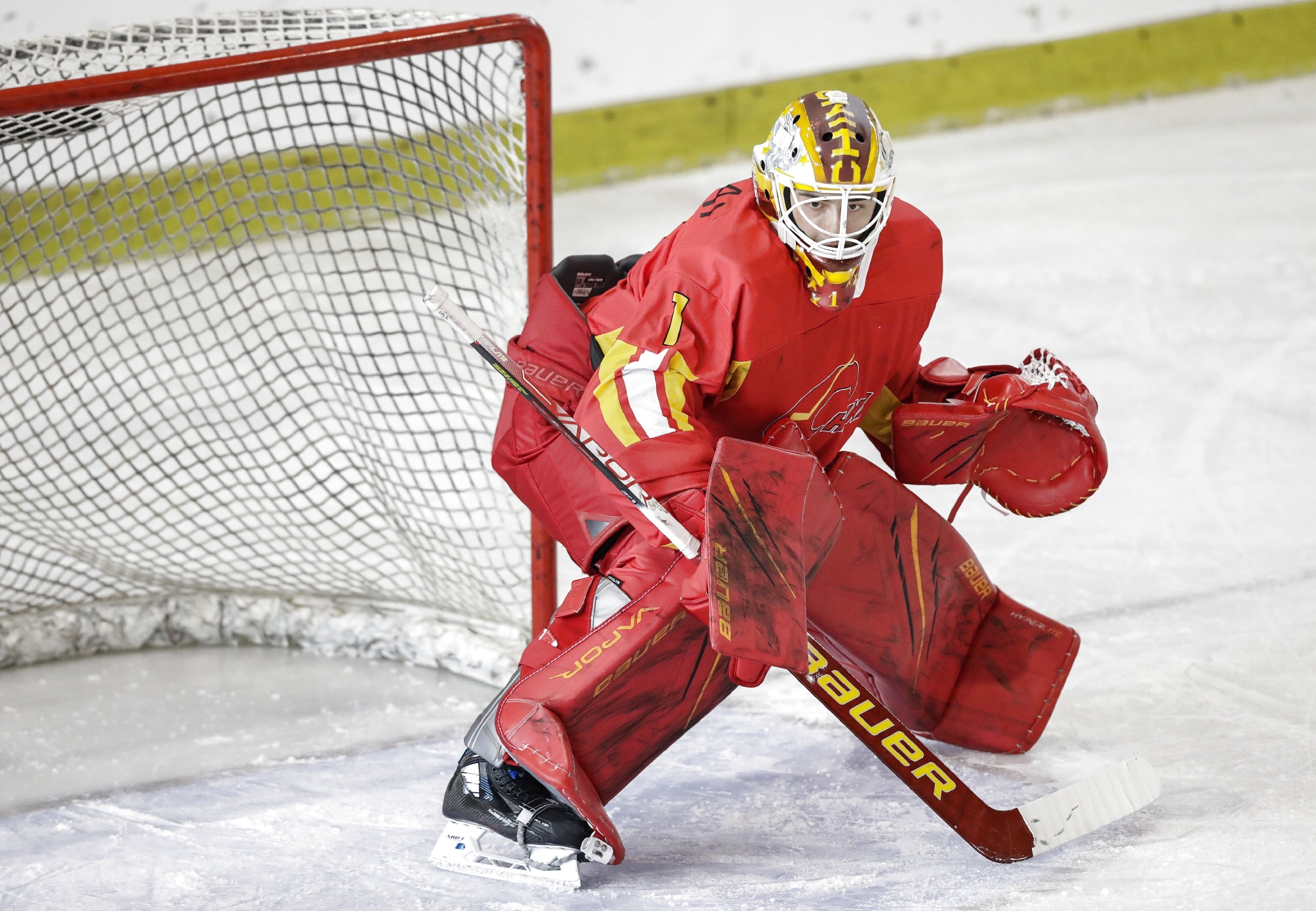 冰球世界男子冰球锦标赛中国胜荷兰