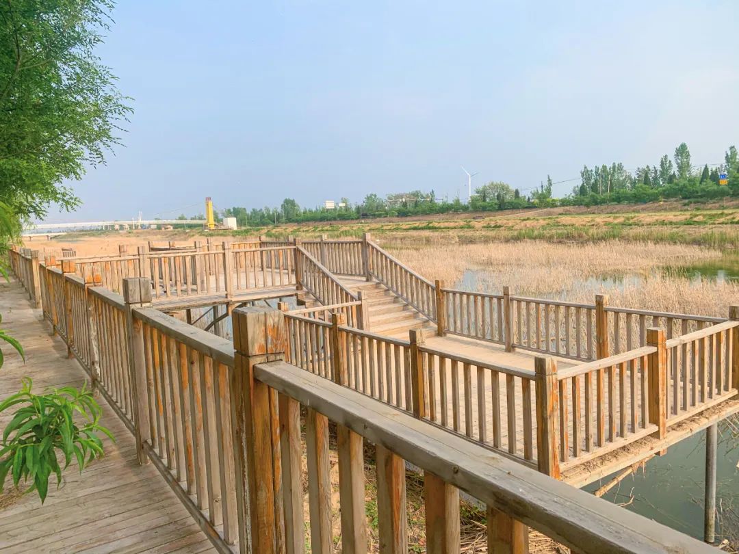 领门票德州印象大薛庄彩虹滑道呐喊喷泉儿童城堡帐篷露营坑爹过山车数