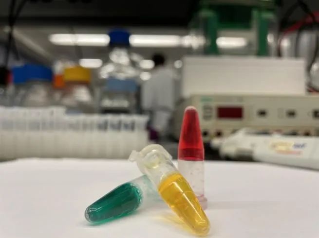 道夫子第三期孵化公司投资六家新蛋白企业, 涵盖细胞肉、微藻蛋白原料和植物基烘焙等公司休闲区蓝鸢梦想 - Www.slyday.coM