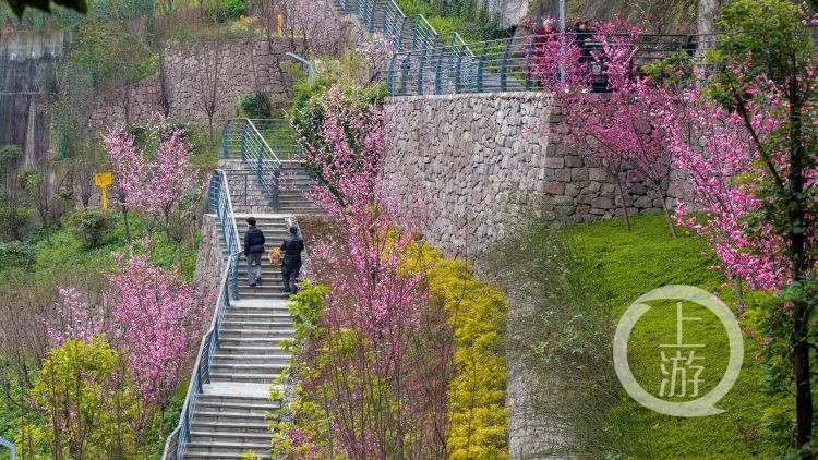 九龙坡区龙井湾社区公园