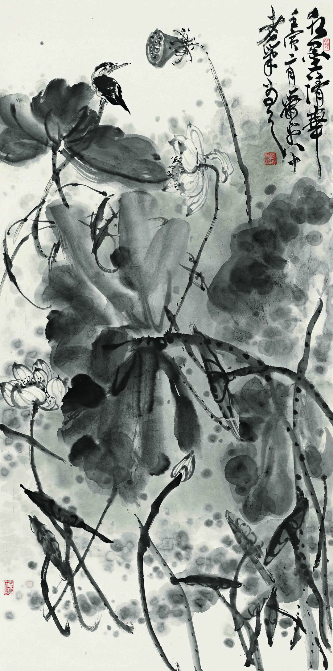 萧平:遮天之榕|江苏省_新浪新闻