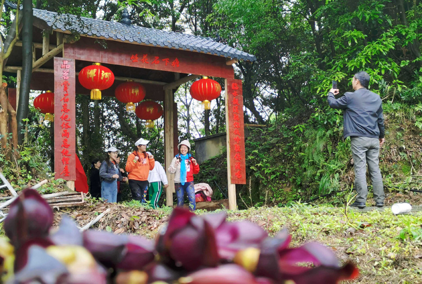 宜春市袁州区生态旅游路越走越宽