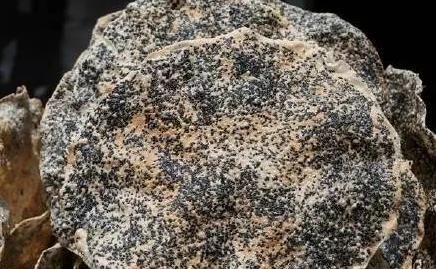 广西京族特色美食风吹饼你吃过吗