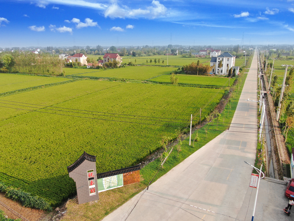 南通如东新店镇田间无人忙屋内粮满仓