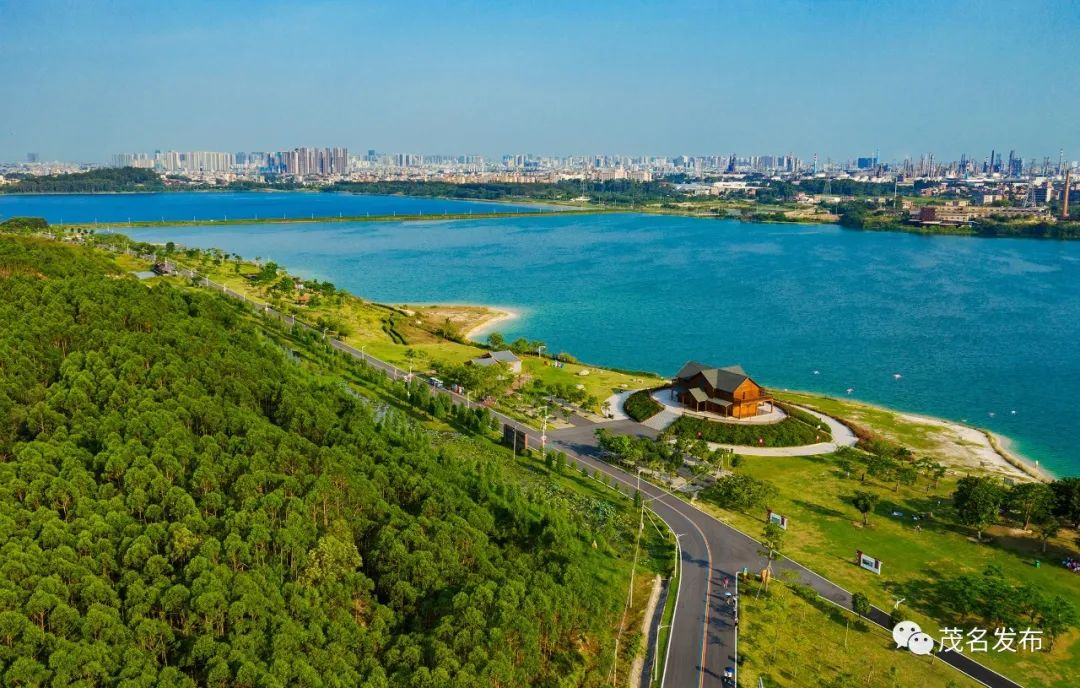 官宣茂名市林业发展十四五规划正式发布