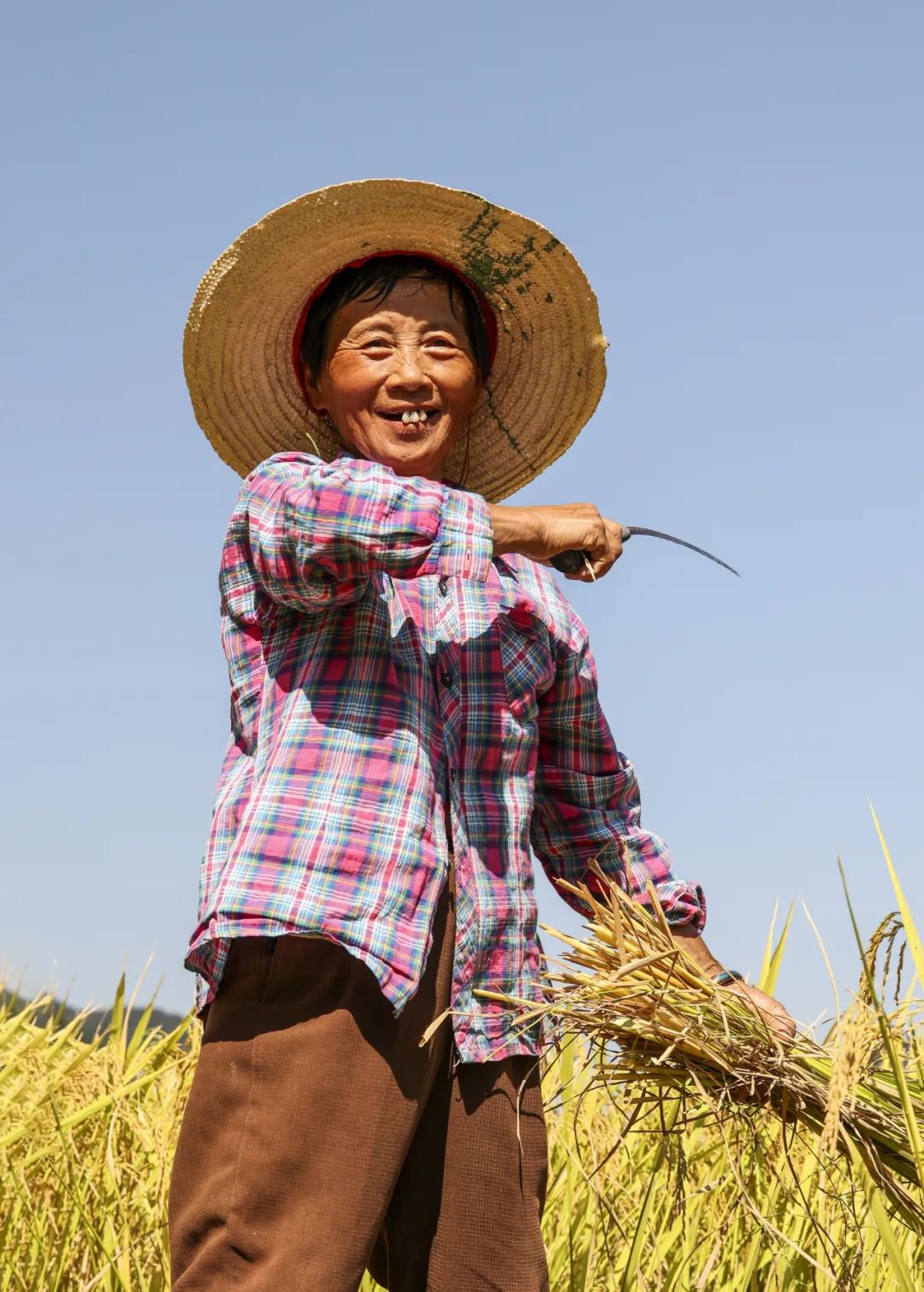 致敬劳动者合肥谢谢您