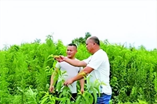 致敬“五一”！今天让我们聆听他们的故事休闲区蓝鸢梦想 - Www.slyday.coM