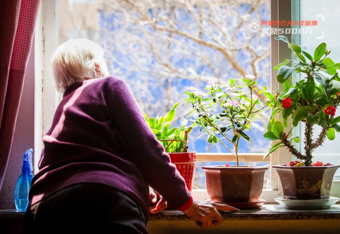 八旬老太独居12年6人接力做了一件事成了老人的至亲至爱