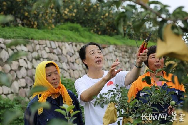 劳动者之歌｜奔赴乡村振兴主战场——记“全国工人先锋号”李保国山区开发与林果产业创新团队休闲区蓝鸢梦想 - Www.slyday.coM