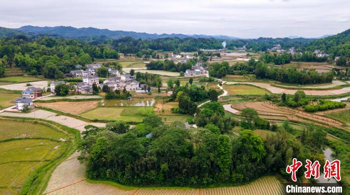 4月29日,贵州省凤冈县琊川镇朝阳村生态宜居. 田锦泓 摄