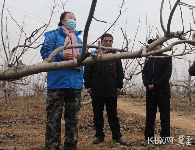 劳动者之歌｜奔赴乡村振兴主战场——记“全国工人先锋号”李保国山区开发与林果产业创新团队休闲区蓝鸢梦想 - Www.slyday.coM