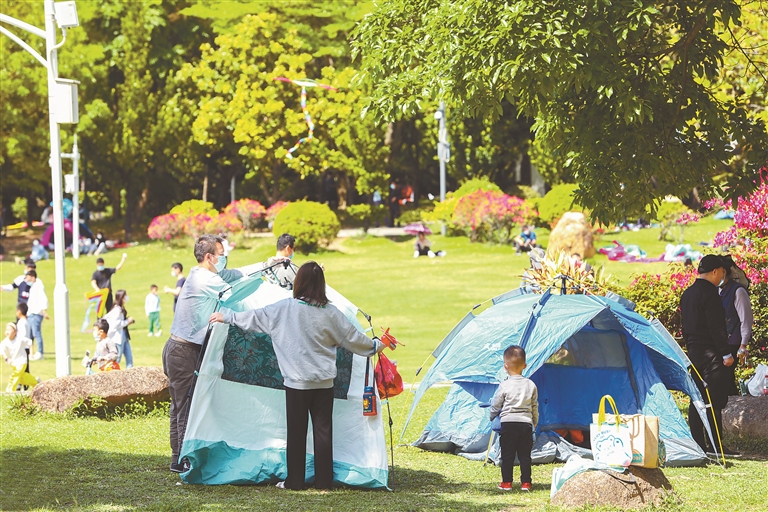 众多市民在公园内搭起帐篷，享受浪漫的田园生活。