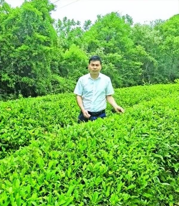 致敬“五一”！今天让我们聆听他们的故事休闲区蓝鸢梦想 - Www.slyday.coM