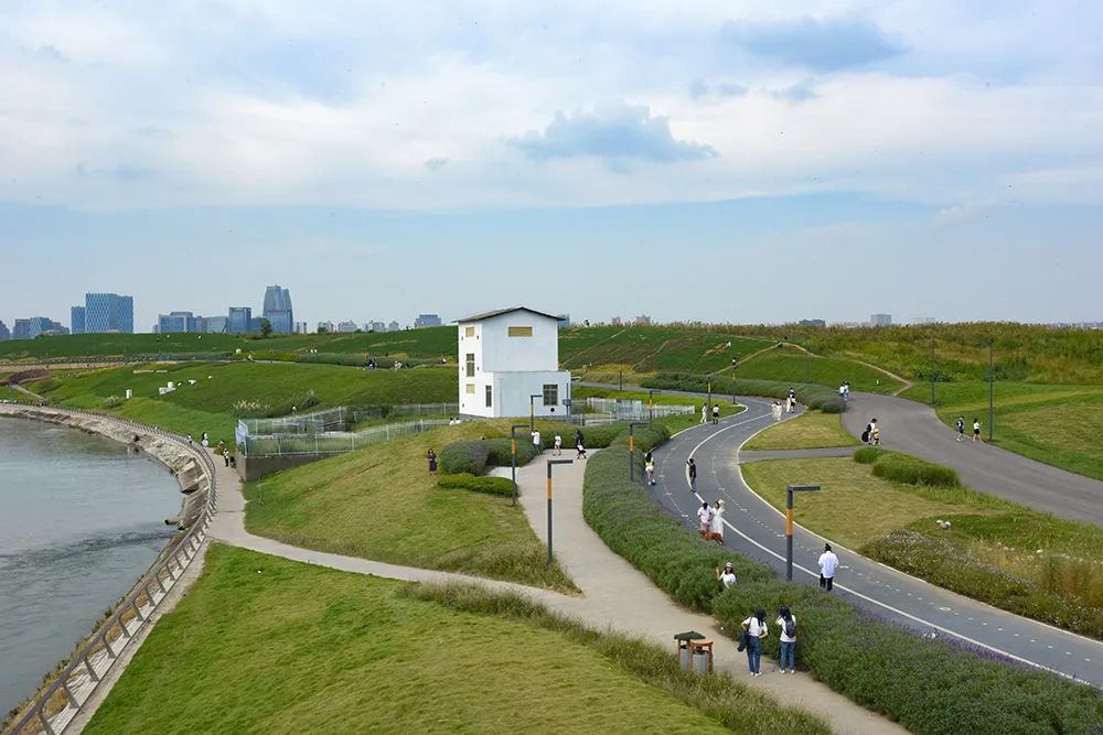 成都中和湿地公园.新华社发