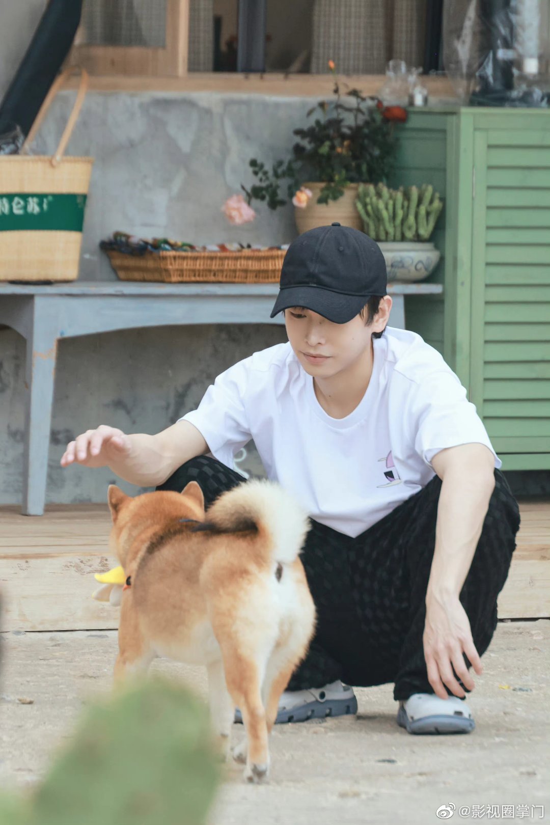 彭昱畅在新一季向往的生活中又瘦回来了