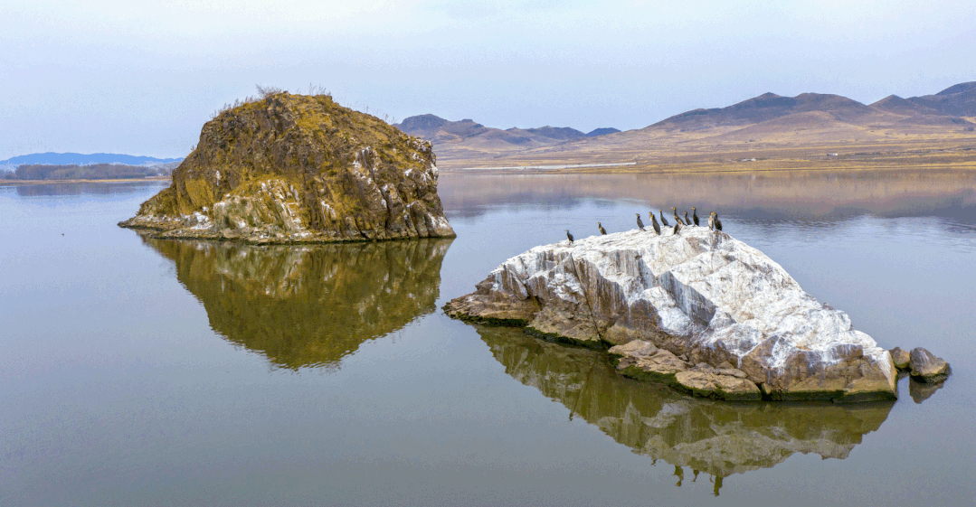 浪漫的春天去突泉宝石镇赏杏花看天鹅观多彩水库