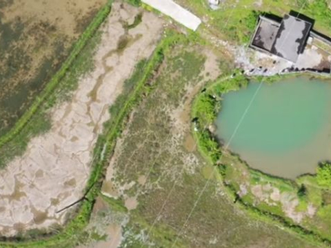 广东陆丰：疯狂毁林盗沙后在水源保护区搞“复耕