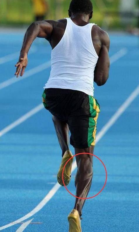 体坛非人类肌肉罗尼鬼背如蝴蝶展翅博尔特小腿肌肉如刀刻