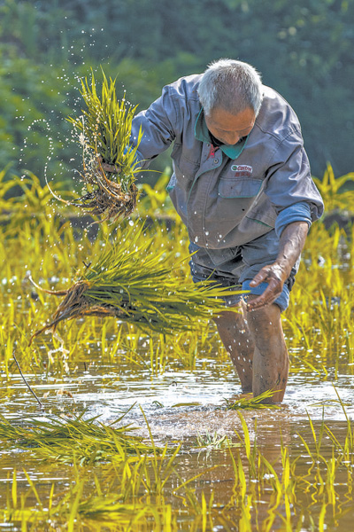 在辛勤劳动中收获新的希望(新时代画卷)|农民_新浪财经_新浪网