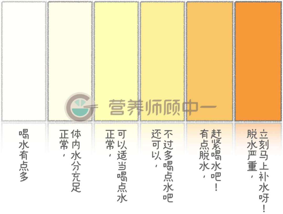 尿量,还有尿液的颜色来判断自己是否缺水